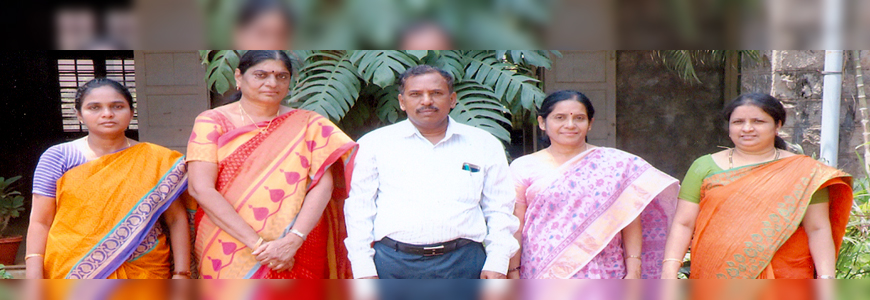Chrysanthemum